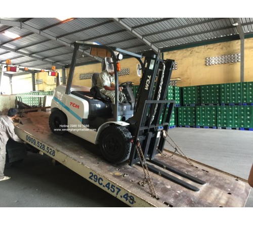 Cho thuê xe nâng hàng tại Thanh Hóa