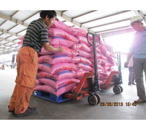 Xe Nâng Tay Thấp Noble 2 - 2.5 - 3 tấn