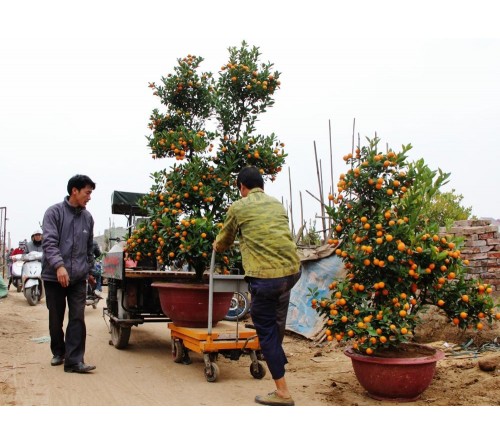 Xe nâng mặt bàn 300-500-750-1000 kg (Table Lift)