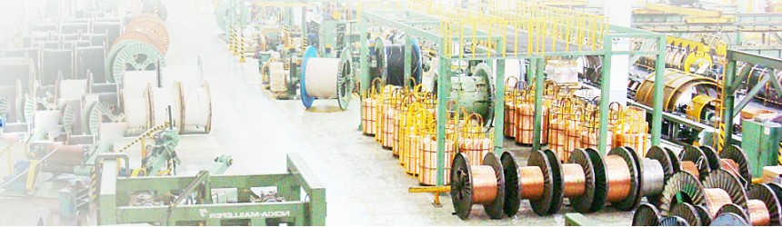 Bàn giao xe nâng TCM 10 tấn - CADISUN 